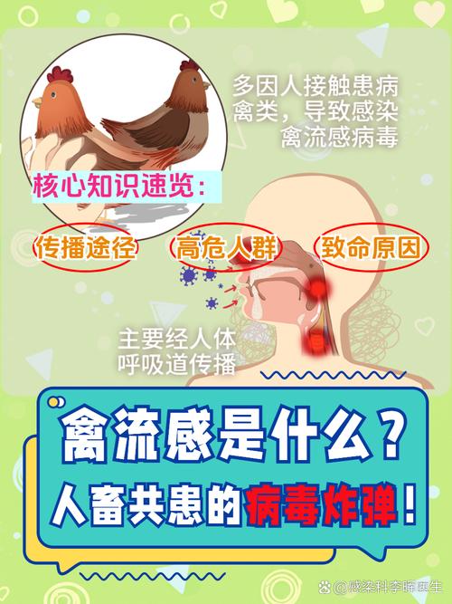 史上最严重禽流感入侵，人刚恢复蛋又遭殃，咋防咋治看这里