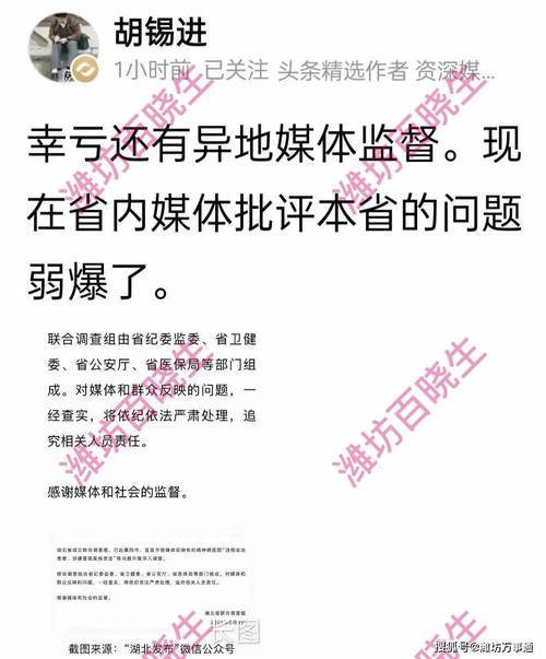 胡锡进提出涉疫情四大问题，全社会要就这些达成共识