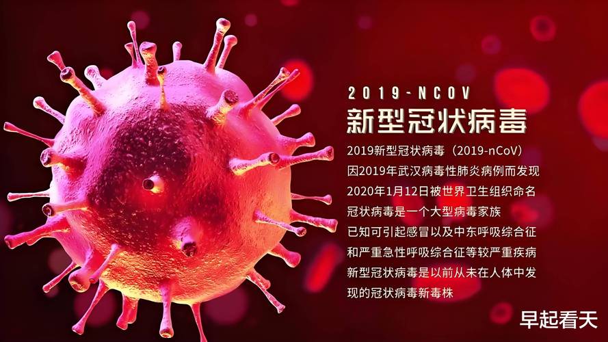 _疫情认定为不可抗力的相关规则_疫情不可抗拒从什么时候算起