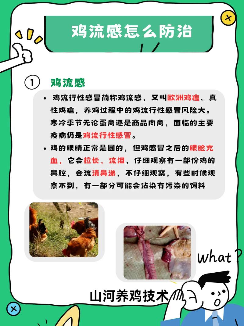禽流感爆发，鸡鸭鹅蛋还能吃吗？专家告诉你这样吃才安全