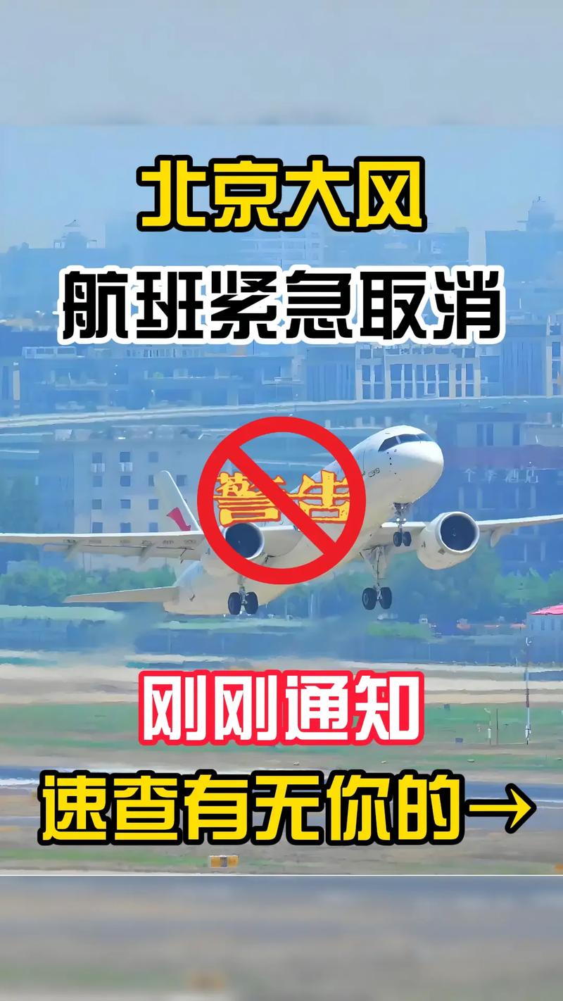 北京两大机场因疫情和天气取消630架次航班及航司国外航班政策