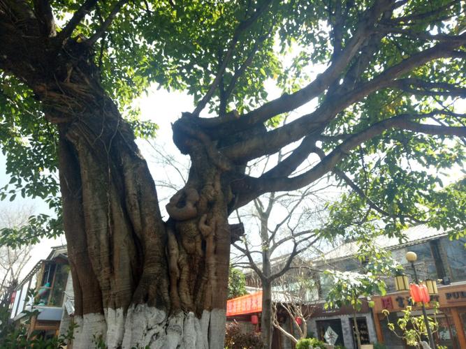 _古城大理有云南疫情封城吗_云南大理有没有封城