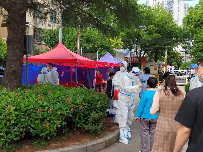 _石家庄疫情最新消息新增多少_石家庄疫情最新新增数据消息