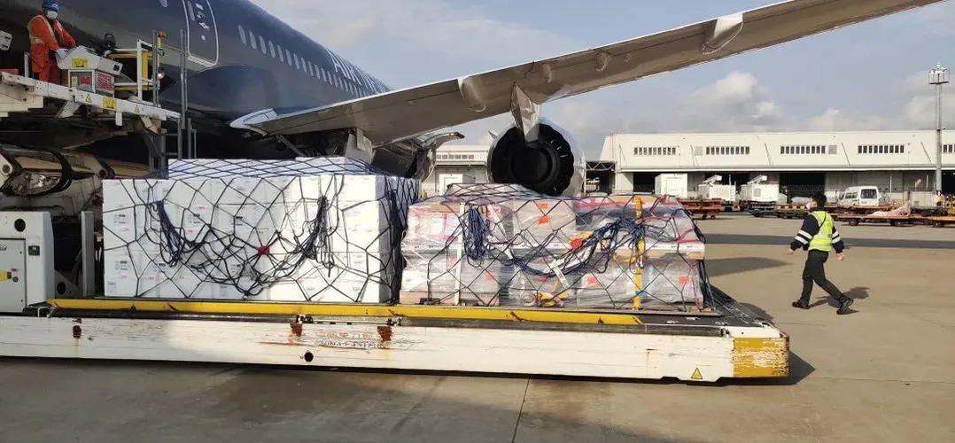 _疫情航空公司_航空公司疫情期间最新消息