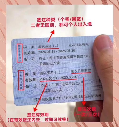 _澳门疫情最新数据消息_澳门疫情最新数据统计